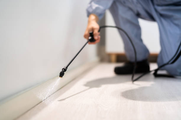 Bed Bug Pre-Treatment Preparation Assessment in Crosby