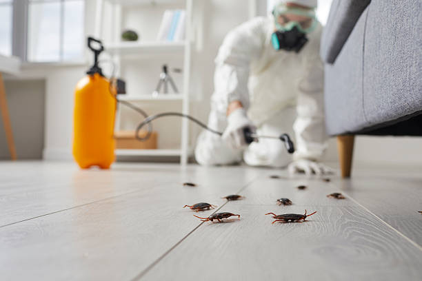 Post-Treatment Bed Bug Interceptor Monitoring in Crosby