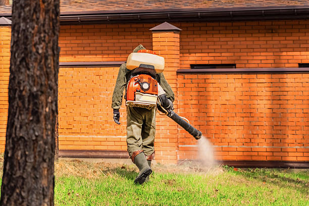 Bed Bug Clearance Verification and Documentation in Crosby
